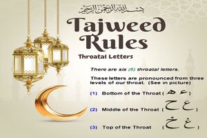 Tajweed Course